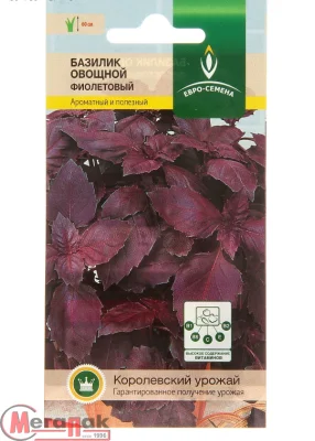 Базилик Фиолетовый цв/п 0,3 гр., среднеспелый, фиолетоволистный, до 60 см, анисово-гвоздичный аромат Базилик Фиолетовый цв/п 0,3 гр., среднеспелый, фиолетоволистный, до 60 см, анисово-гвоздичный аромат  - фото