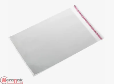 Пакет с клеевым клапаном  7,5*10+3 1/250 25мк, БОПП Прозрачный - фото