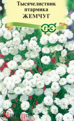 Тысячелистник Жемчуг (белый)* 0,05 г Тысячелистник Жемчуг (белый)* 0,05 г  - фото
