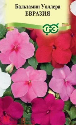 Бальзамин Евразия* (Уоллера (смесь) 0,03 г Бальзамин Евразия* (Уоллера (смесь) 0,03 г  - фото