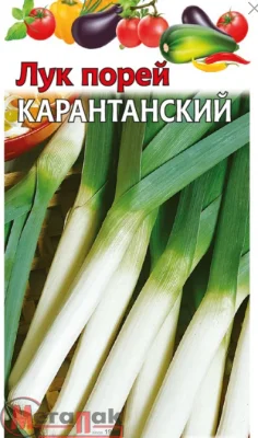 Лук порей Карантанский  0,2 г  - фото