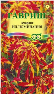 Амарант трехцветный Иллюминация 30 шт Амарант трехцветный Иллюминация 30 шт  - фото