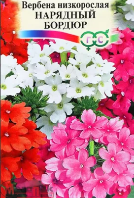 Вербена Нарядный бордюр, гибридная*  0,05 г Вербена Нарядный бордюр, гибридная*  0,05 г  - фото
