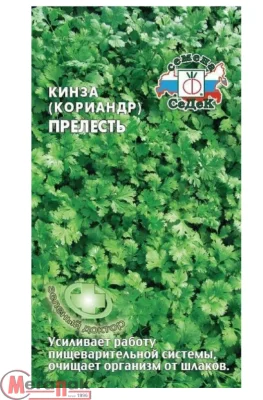 кориандр Прелесть (Евро, 2)  - фото