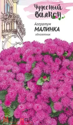 Агератум Малинка* 0,05  г серия Чудесный балкон DH Агератум Малинка* 0,05  г серия Чудесный балкон DH  - фото