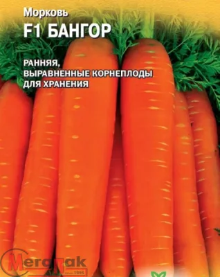 Морковь Бангор F1 150 шт. (Голландия)  - фото