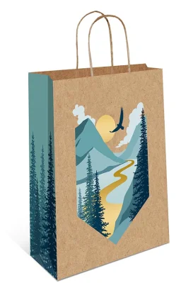 Пакет бум. крафт ассорти 260*320*120, 0396.584/586/590  - фото