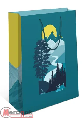 Пакет подар.бум ламин. 330*425*100 в ас-те 0195.238/240/243/372/374 Микс - фото