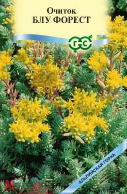 Очиток Блу Форест (отогнутый) * 0,01 г серия Альпийская горка Очиток Блу Форест (отогнутый) * 0,01 г серия Альпийская горка  - фото