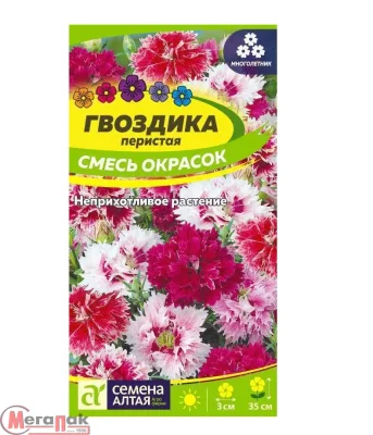 Гвоздика перистая Радуга 0,1 гр. Гвоздика перистая Радуга 0,1 гр.  - фото