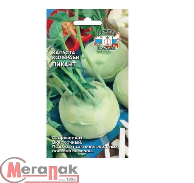 капуста Пикант (КОЛЬ) (Евро, 1)  - фото