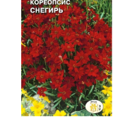 цветок Кореопсис Снегирь (красильный, темно-красный) (Евро, 0,2)  - фото