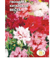 цветок Гвоздика Веста (вид китайская, смесь цветов) (Евро, 0,25)  - фото