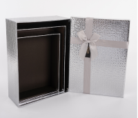 Коробка Шикарный подарок, Серебро, Металлик, 26*19*8 см, 1 шт Серебро - фото