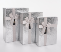 Коробка Шикарный подарок, Серебро, Металлик, 23*17*7 см, 1 шт Серебро - фото