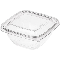 Контейнер СпК-1616-750 мл прозрач.1/75(6) + Р СпК-1616К  - фото