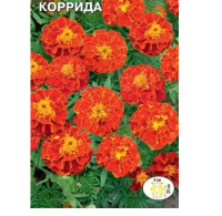 цветок Тагетес Коррида (отклоненный, высотой 20 см) (Евро, 0,2)  - фото