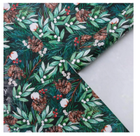 Бумага упаковочная глянцевая "Зимний хлопок", 70 х 100 см, 5155316 Зеленый - фото