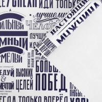 Бумага упаковочная глянцевая «Больших побед» в листах , 60 × 90 см  - фото