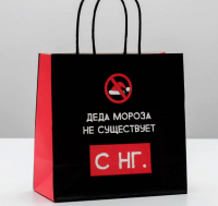 Пакет подарочный «Деда мороза не существует», 22 × 22 × 11 см   4865440 (295) Дарите счастье  - фото