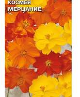 цветок Космея Мерцание (сульфуриус, смесь цветов) (Евро, 0,15)  - фото