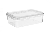 Комплект Контейнер 1,0л прозрач + Крышка д/контейнера 1,0 л (191*129мм) Прозрачный - фото