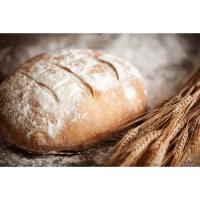 Картина на холсте 60*40см "Хлеб и колос", HE-101-822  - фото