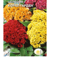 цветок Целозия Шанхай (перистая, малиновые цветки, т.-бордовый лист) 0,1 (Евро, 0,1)  - фото