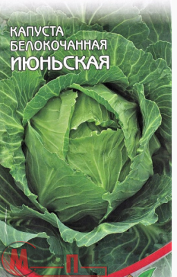 ДУ капуста Июньская (Б/К) (Евро, 0,3)  - фото