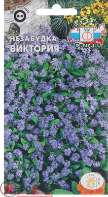 цветок Незабудка Виктория (альпийская,сиреневая) (Евро, 0,2)  - фото