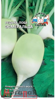 редька Эсмеральда (Евро, 1)  - фото