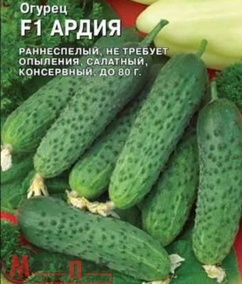 Огурец Ардия F1 8 шт. (Голландия)  - фото