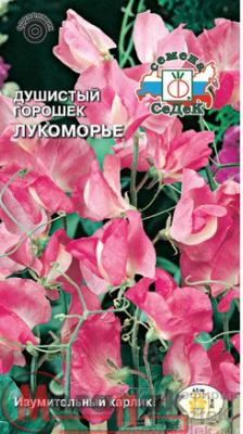 цветок Душистый Горошек Лукоморье (карликовый, розово-малиновый) (Евро, 0,5)  - фото