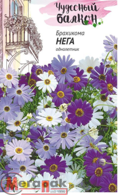 Брахикома Нега* 0,02 г серия Чудесный балкон DH  - фото
