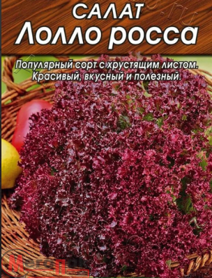 салат Лолло Росса (листовой) (Евро, 0,5)  - фото