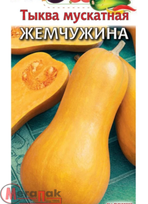 тыква Жемчужина(мускатная) (Евро, 1)  - фото