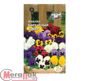 Цветок Фиалка Бархатный ковер  (вид: Витрокка,смесь цветов) (Евро, 0,05)  - фото