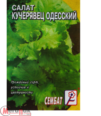 Салат Кучерявец Одесский цв/п 1 гр  - фото