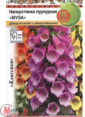 цветок Наперстянка Муза (пурпурная, смесь цветов) (Евро, 0,1)  - фото