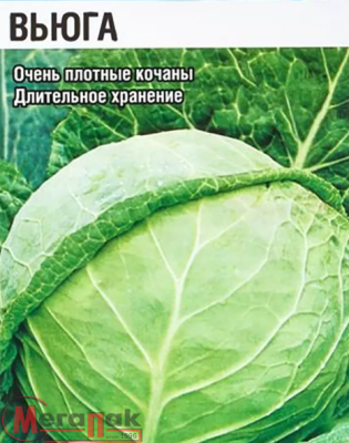 ДУ капуста Вьюга (Б/К) (Евро, 0,3)  - фото