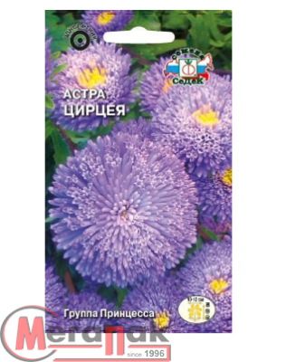 Цветок Астра Цирцея (принцесса, голубая) (Евро, 0,2)  - фото