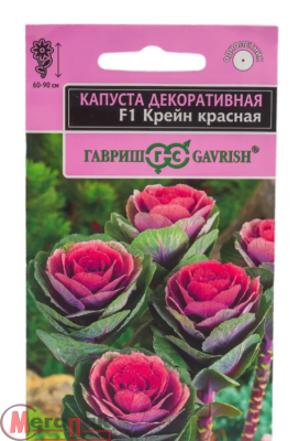 Капуста декоративная Крейн красная* F1 серия Эксклюзив 6 шт.  - фото