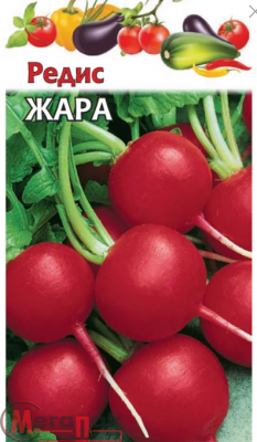 Редис Жара 3,0 г  - фото