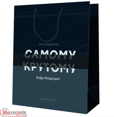 Пакет подар. "Самому крутому", 18*23*10 см, MESHU, ламинация, MS 52123, 354757 Синий - фото